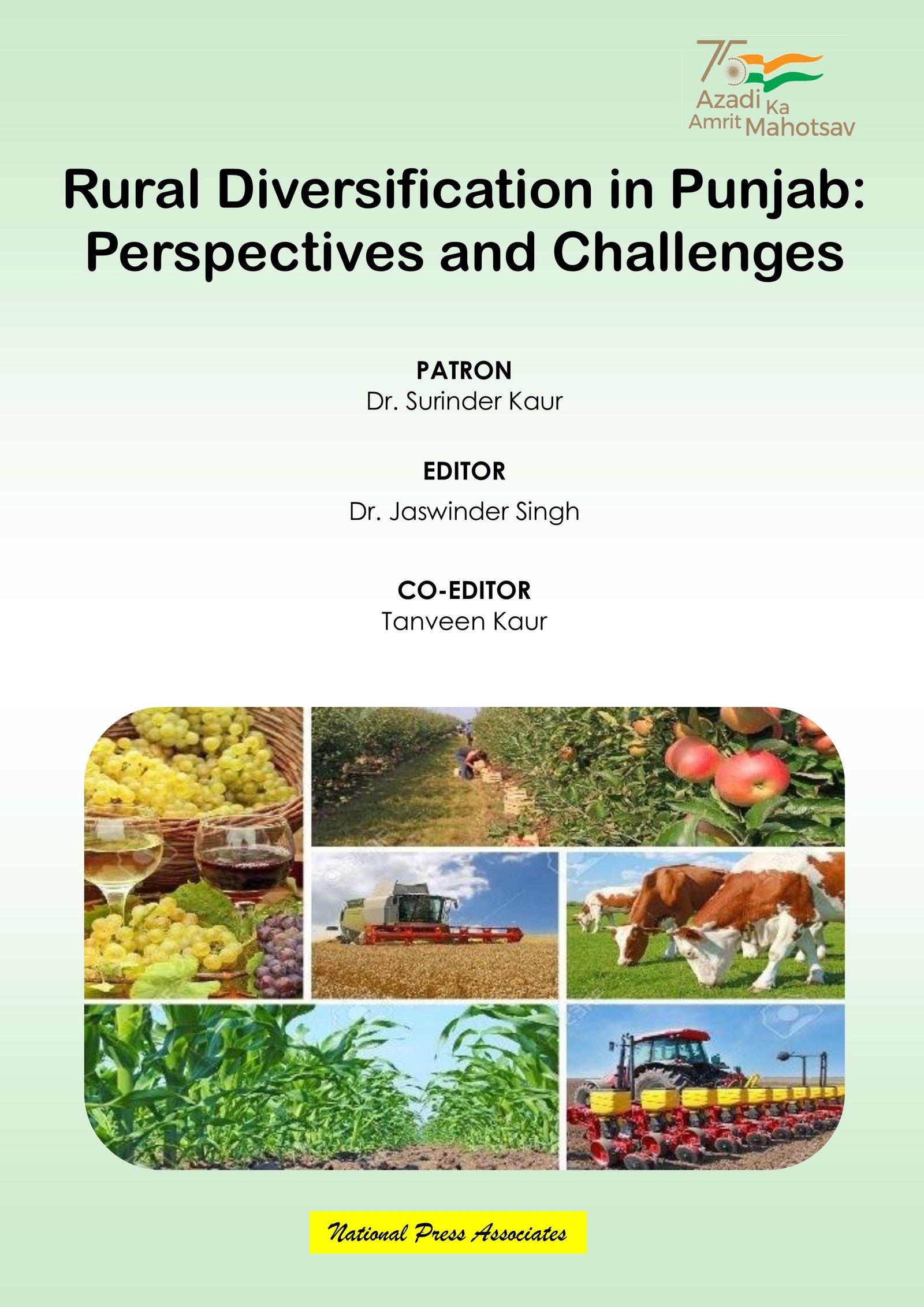 Rural Diversification in Punjab:  Perspectives and Challenges 